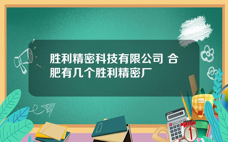 胜利精密科技有限公司 合肥有几个胜利精密厂